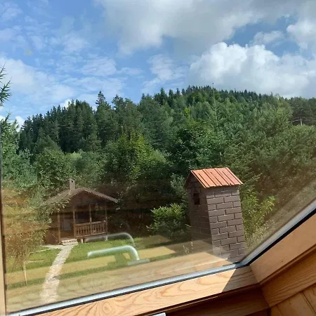 Holiday home модрина Velyka Volosyanka