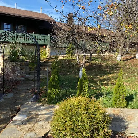 модрина Velyka Volosyanka